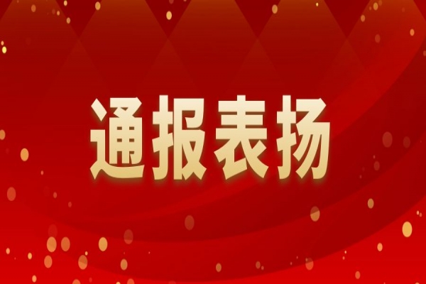 關于表揚2022年履職盡責優秀個人的通報